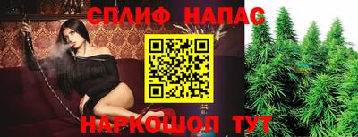 шишки Кунгур