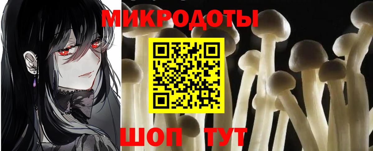 Галлюциногенные грибы MAGIC MUSHROOMS Казань
