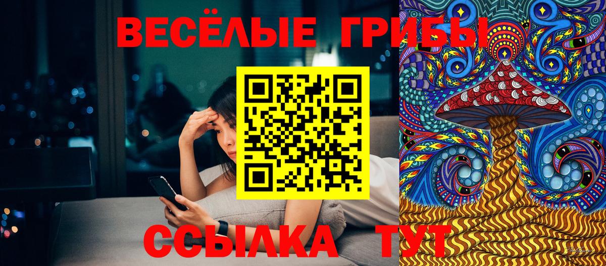 дарнет шоп  Галлюциногенные грибы MAGIC MUSHROOMS  Вход с VPN  Казань 